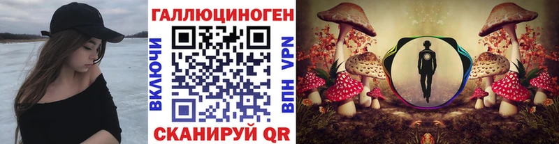 Галлюциногенные грибы MAGIC MUSHROOMS  где можно купить   Первомайск 